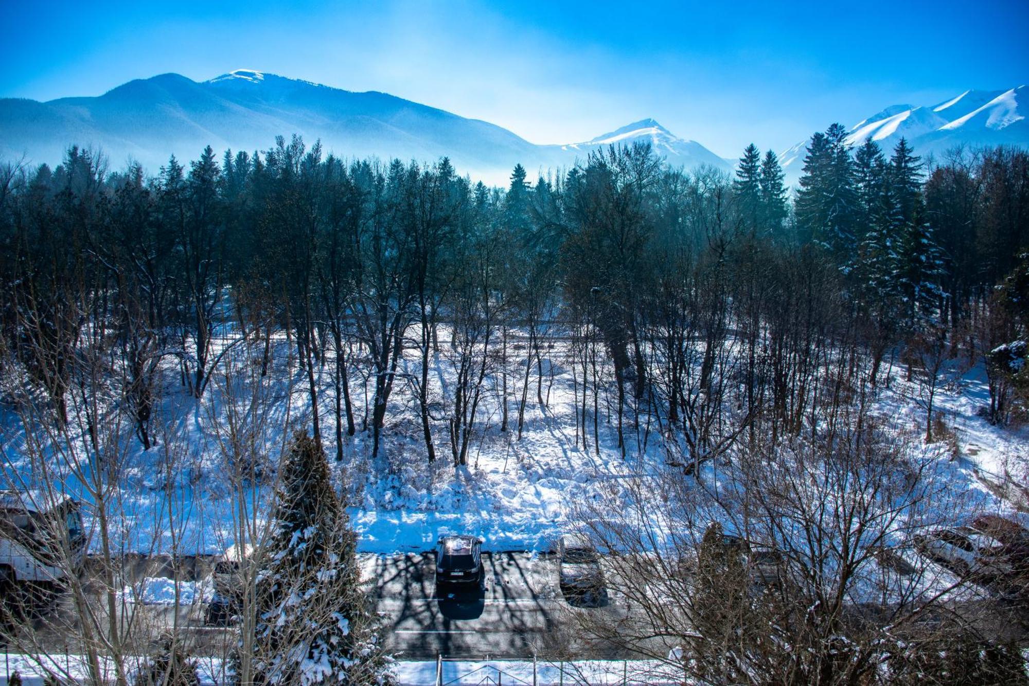 Orphey 4* Bansko